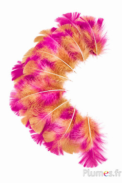Kalkoen gespikkeld fuchsia kleur - 6-8 cm - curry